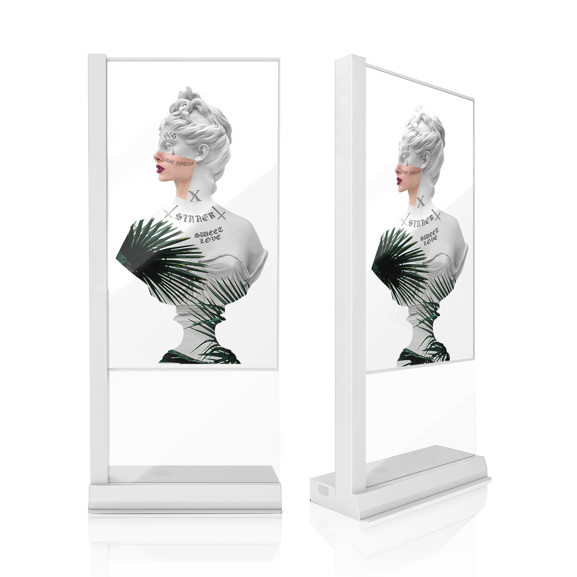 OLED Transparent Display