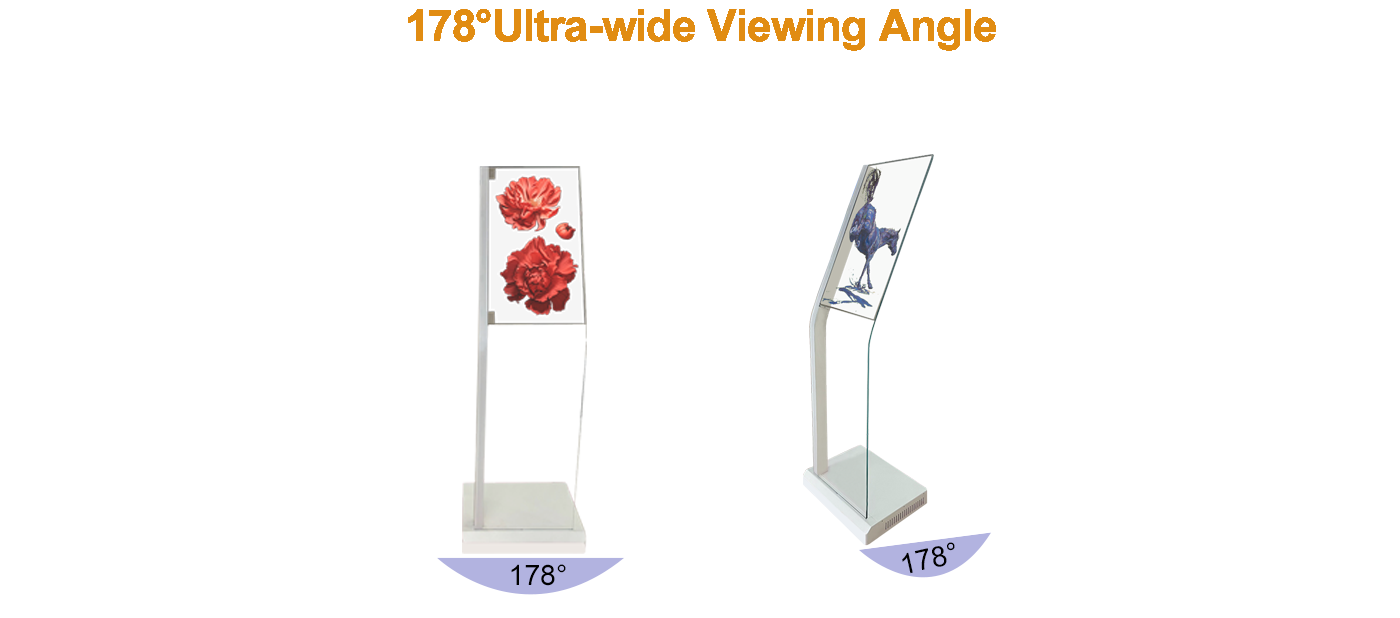 30-inch curved OLED transparent screen factory customization